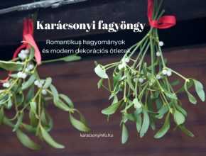 karácsonyi fagyöngy