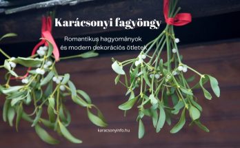 karácsonyi fagyöngy